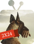 Пережил 2024